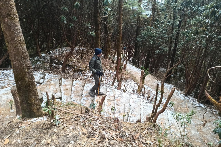 Da Pokhara: Trekking Muldai View di 5 giorni con alloggio