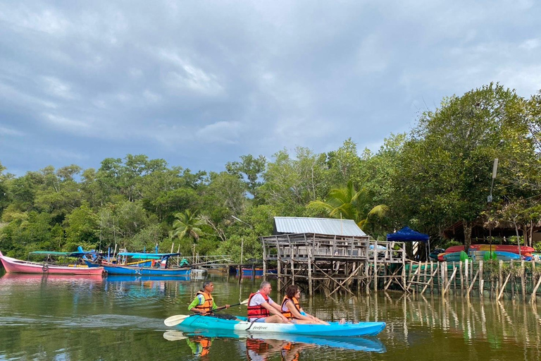 Khao Lak: Three Waters—Mangroves, Turtles, Waterfall