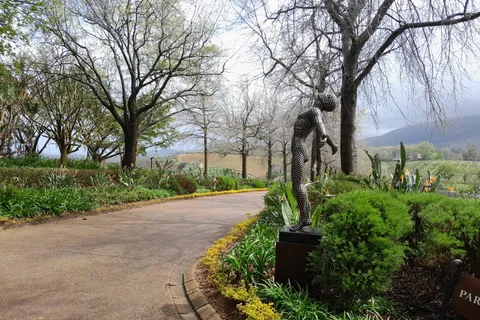 Le Cap : visite privée des vignobles