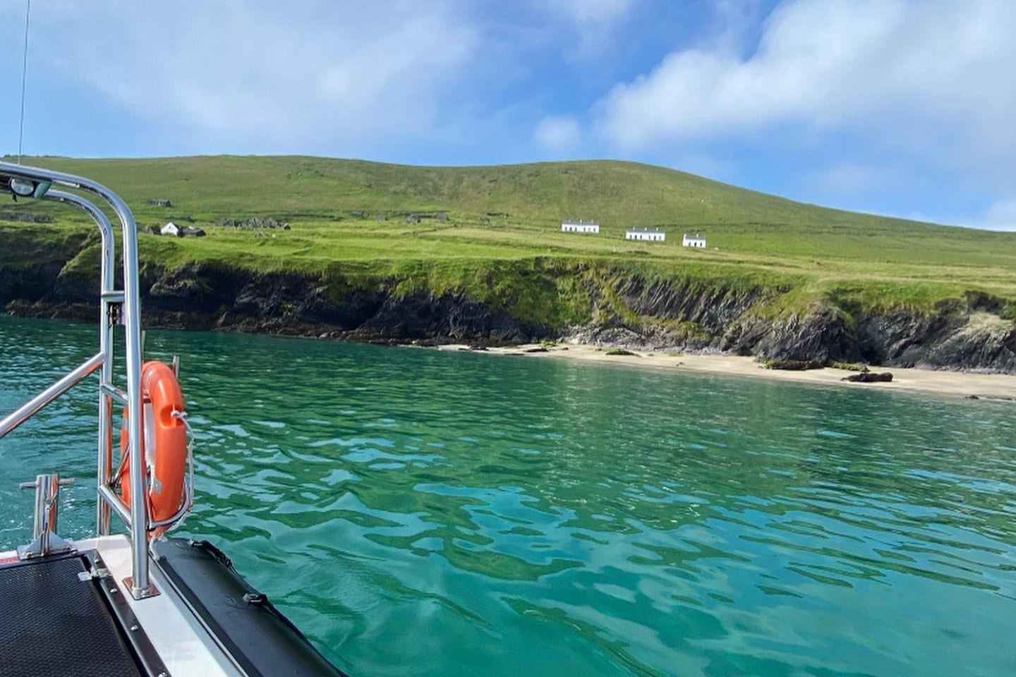 Dingle : Découverte Époustouflante de la Faune Marine des Îles Blasket en Bateau