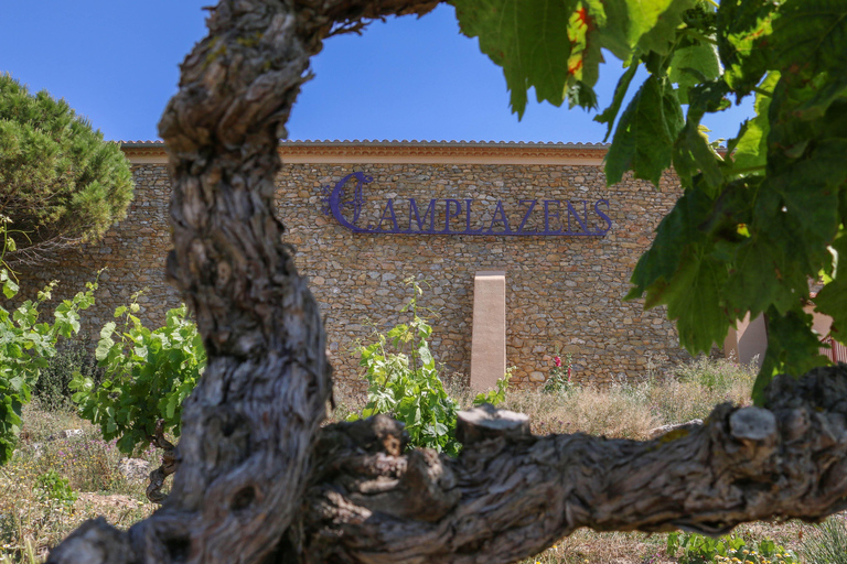 Full tour of the estate and wine tasting at Château Camplazens Visit Julius - Château Camplazens AOP La Clape