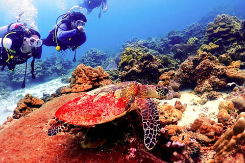 Phuket: Scuba Diving at Maithon or Racha Islands for All Levels