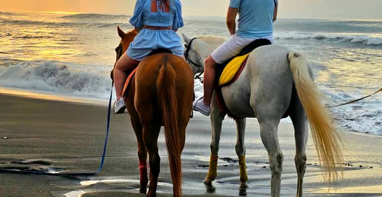 Bali Sunrise Horse Riding | GetYourGuide