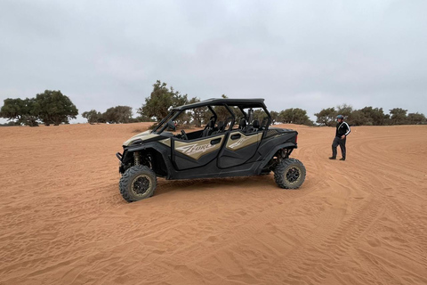 Agadir: Family 4-Seater Buggy Forest Safari