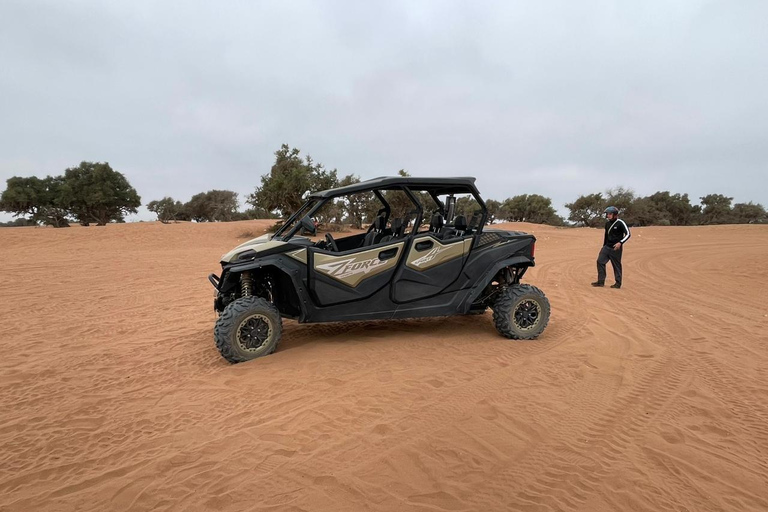 Agadir: Family 4-Seater Buggy Forest Safari