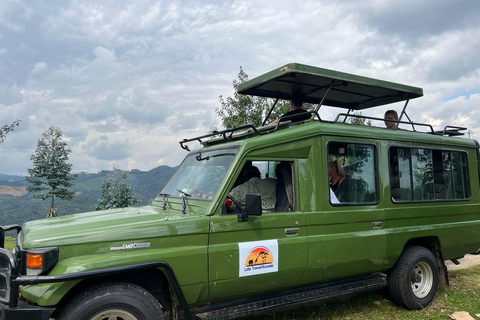 2 giorni di trekking con gli scimpanzé e pernottamento nella foresta pluviale di Nyungwe