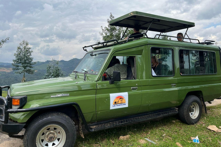 2 dias de caminhada com chimpanzés e pernoite na floresta tropical de Nyungwe