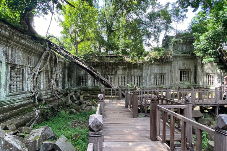 暹粒：Beng Mealea 和 Banteay Srei 寺庙之旅