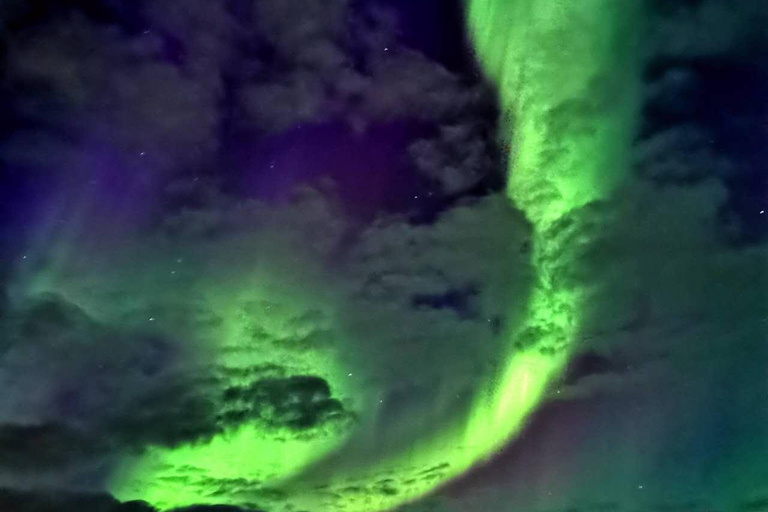 Rovaniemi: Aurora Hunting &amp; Photography Tour