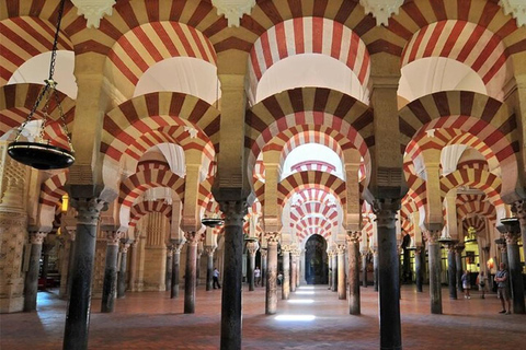 Sevilla: Tour naar Cordoba en Moskee Kathedraal