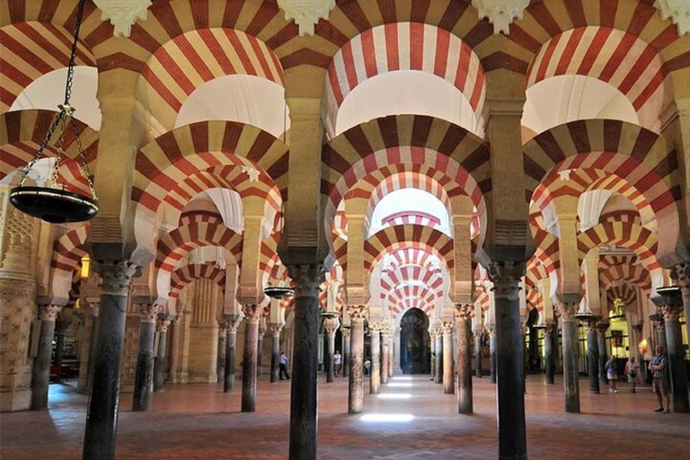 Sevilla: Tour naar Cordoba en Moskee Kathedraal