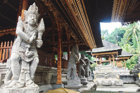 Ubud: foresta delle scimmie, tempio, terrazze di riso, cascata nascostaTour privati