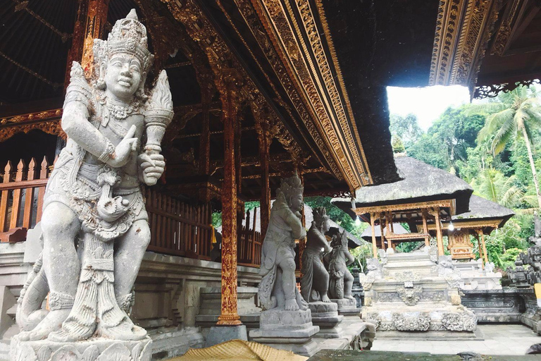 Ubud: foresta delle scimmie, tempio, terrazze di riso, cascata nascostaTour privati