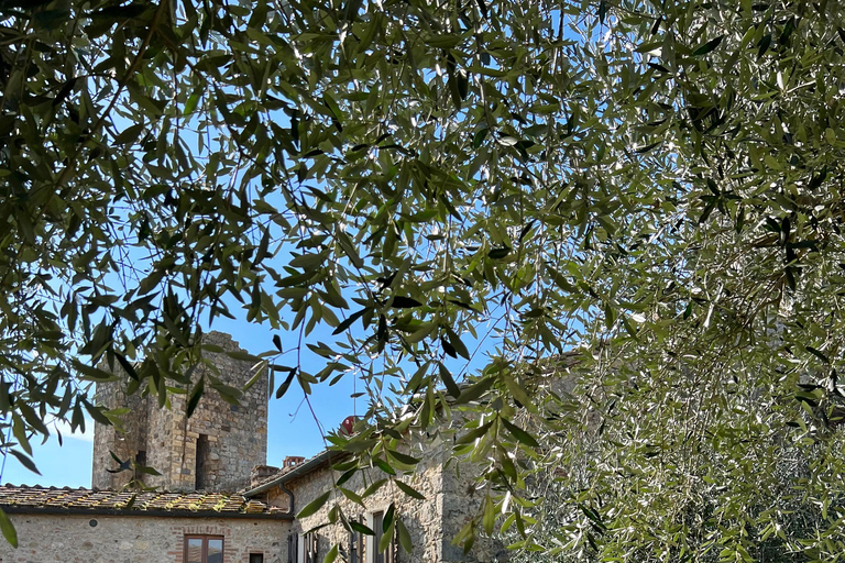 Au départ de Florence : Sienne, San Gimignano, Pise avec transfert