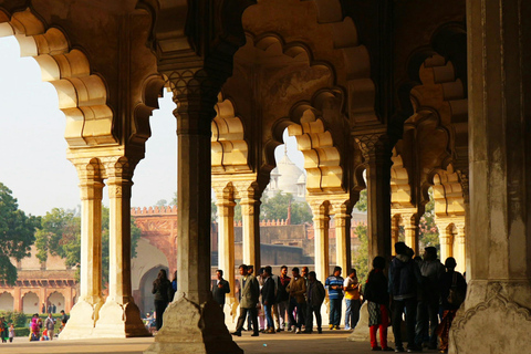 Forte di Agra: tour guidato a piedi del patrimonio UNESCOTour a piedi (biglietti non inclusi)