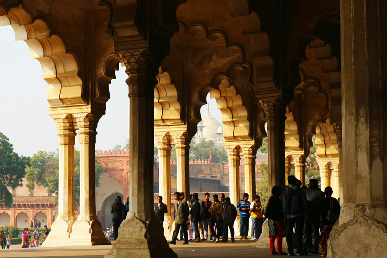 Forte di Agra: tour guidato a piedi del patrimonio UNESCOTour a piedi (biglietti non inclusi)