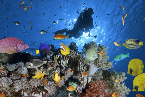 Hurghada: Intro Diving & Snorkeling Tour with Lunch & Drinks Hurghada: Introduction dive & Snorkeling Cruise with Lunch