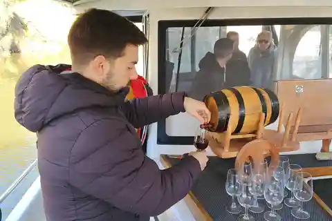 Desde o Porto Douro Valley Tour com comboio e vinho verde
