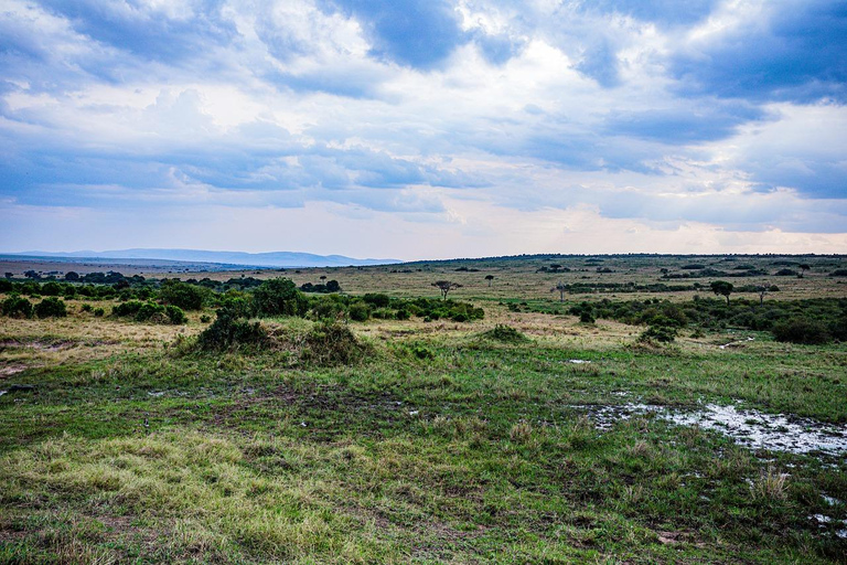 Safari de 4 días en el Parque Nacional de Masaai Mara y Lago Nakuru