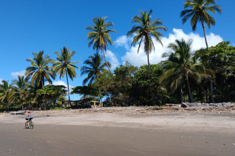 Tour à vélo Pura Vida