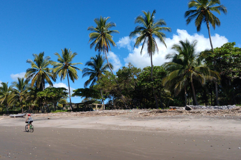 Tour à vélo Pura Vida