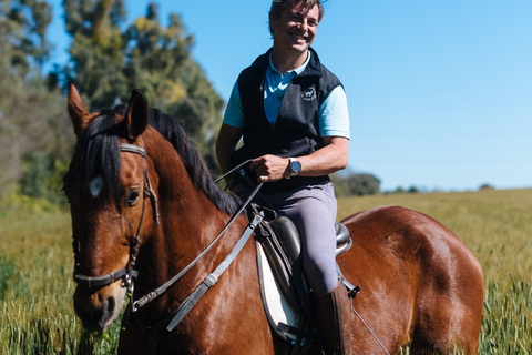 Horseback ride around Doñana National Park Horseback riding around Doñana National Park