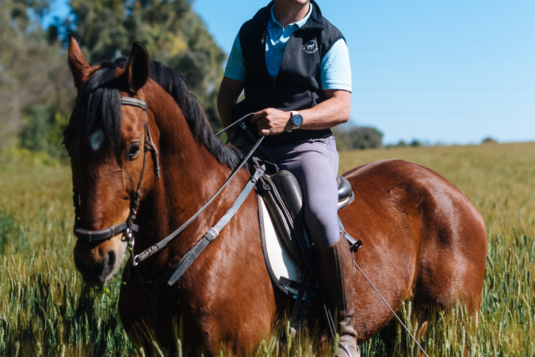 Horseback ride around Doñana National Park Horseback riding around Doñana National Park