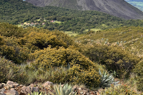 Santa Ana: Volcano Tour, Beat the Crowds on a Morning Hike