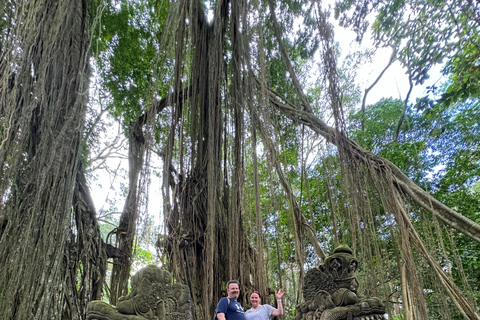 Ubud: Temple, Waterfall, Rice Terrace, Swing & Monkey Forest