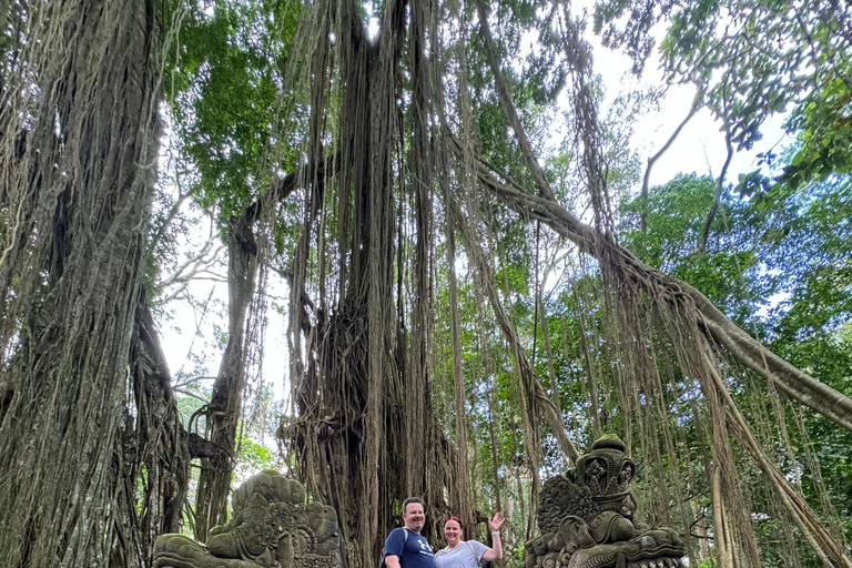 Ubud: Temple, Waterfall, Rice Terrace, Swing & Monkey Forest