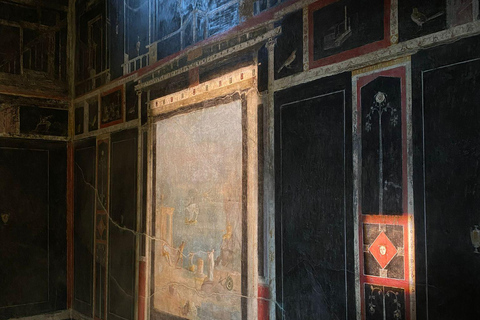 Pompeii: Group Guided Tour with an Expert Archaeologist Group Tour with Entrance Ticket Included