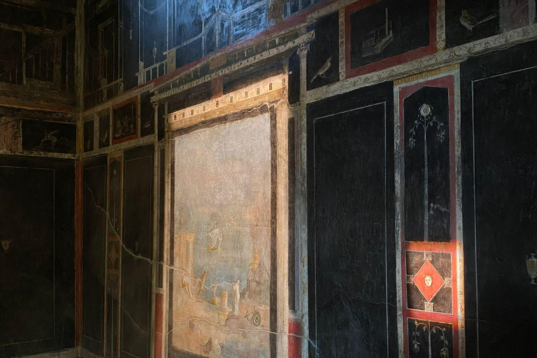 Pompeii: Group Guided Tour with an Expert Archaeologist Group Tour with Entrance Ticket Included