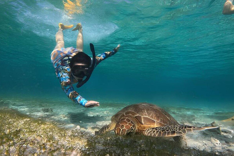 Gili Islands: Snorkeling Sharing Group Tour with Photos
