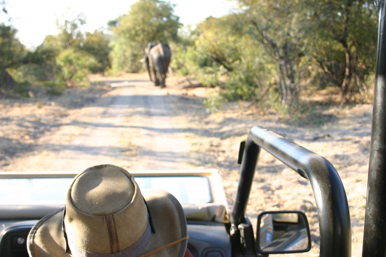 Victoria Falls: zonsondergangsafari + rondleiding door de stad Victoria Falls