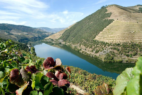 Croisière 1 jour à Pinhão et dans la vallée du DouroVisite guidée avec point de rencontre