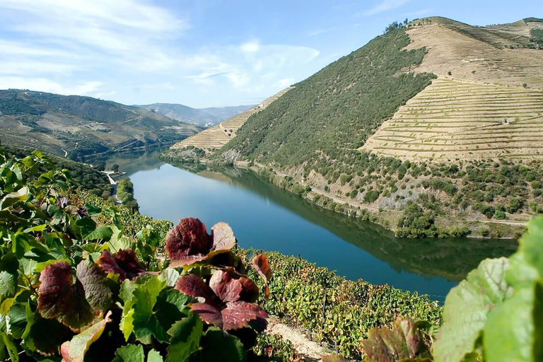 Pinhão and Douro Valley Day Cruise from Porto Tour with Hotel Pickup