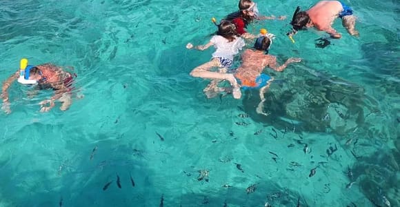 Glass-Bottom Boat and Crystal Kayak Snorkeling at Ste Anne Marine Park