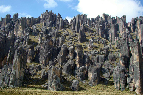 Tour di 10 ore Cascata di Pillones e foresta di pietra di Puruña