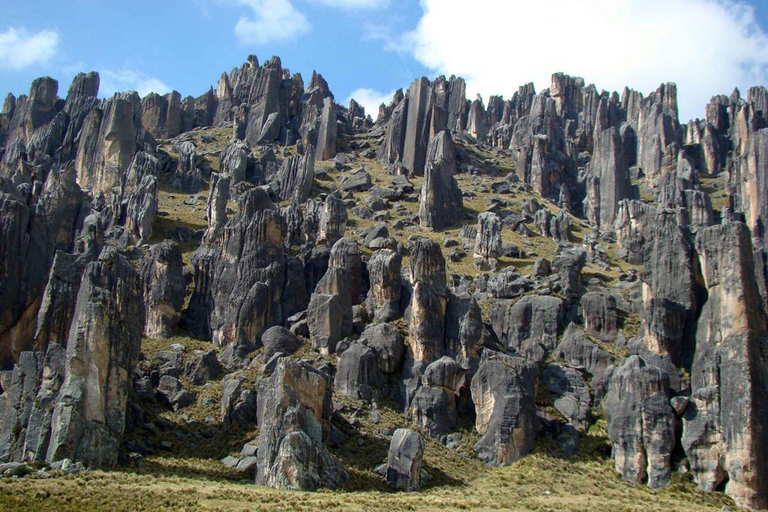 Excursión 10 Horas Cascada de Pillones y Bosque de Piedra de Puruña