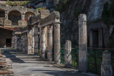 Naples : visite coupe-file de Herculanum avec un archéologueHerculanum : billet coupe-file avec guide en anglais