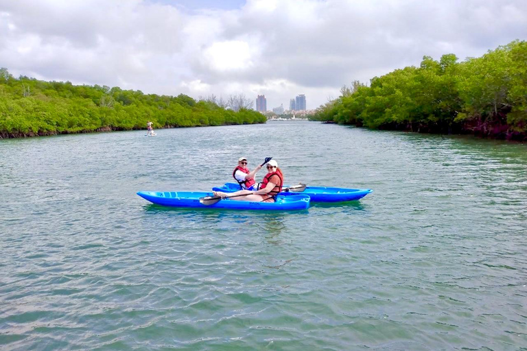 Miami: Noleggio di tavole da paddle o kayak a Virginia KeyMiami: Noleggio di kayak in tandem a Virginia Key