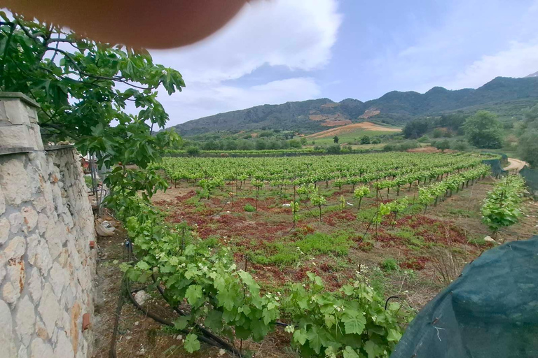 Chania Private Wine Tasting Tour & Theriso Village Visit Chania: Tour to Therisso Gorge, Village & Winery with Lunch"