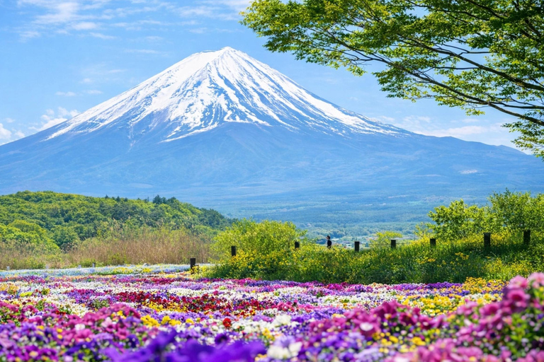 Tokyo: Mt Fuji & Arakurayama& Oshino Hakkai&Lake Kawaguchiko 8:00 AM | Shinjuku Station, West Exit