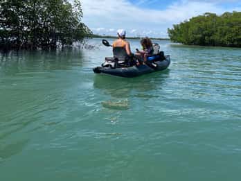 Fort Pierce: 6 horas de manguezais, rios costeiros e vida selvagem na Flórida