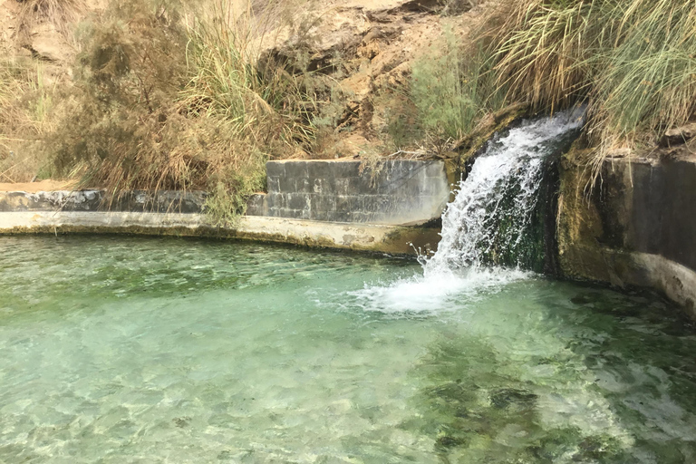 Amman: Ma’in Hot Springs and Dead Sea Panorama