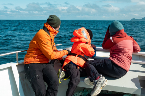 Andenes: Responsible Whale Watching with Classic Catamaran