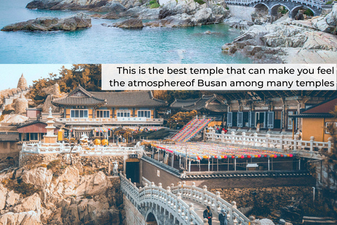 Busan : visite d&#039;une jounée Les activités incontournables à BusanBusan : visite d&#039;une jounée Activités incontournables à Busan