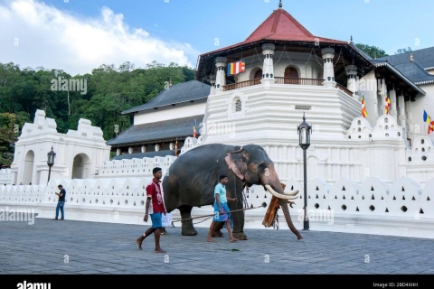 De Colombo à Kandy et Pinnawala, excursion d'une journée