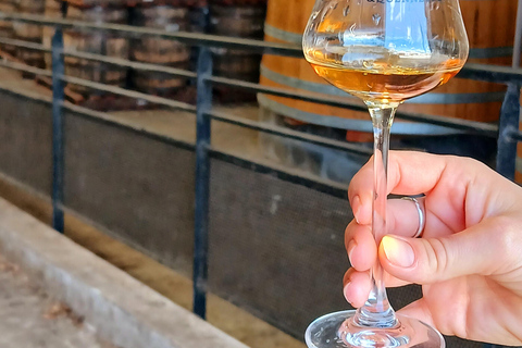 Visit the Braud & Quenesson Rum Production Site in Le Marin