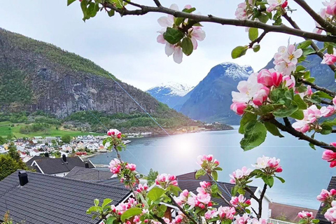 Tour guidato privato - Crociera sul Nærøyfjord e ferrovia di Flåm